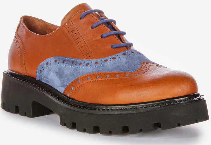 Millie In Brown Blue Brogues