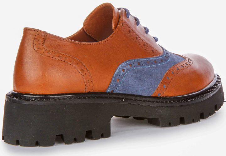 Millie In Brown Blue Brogues