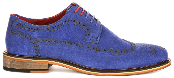 Robin In Blue Suede Brogues
