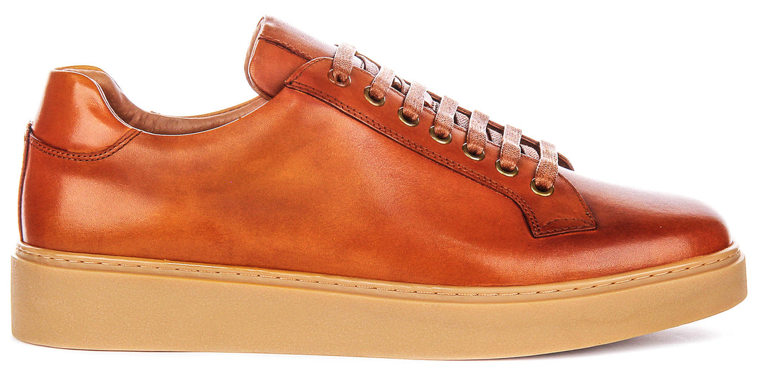 Anthony Sneaker In Brown