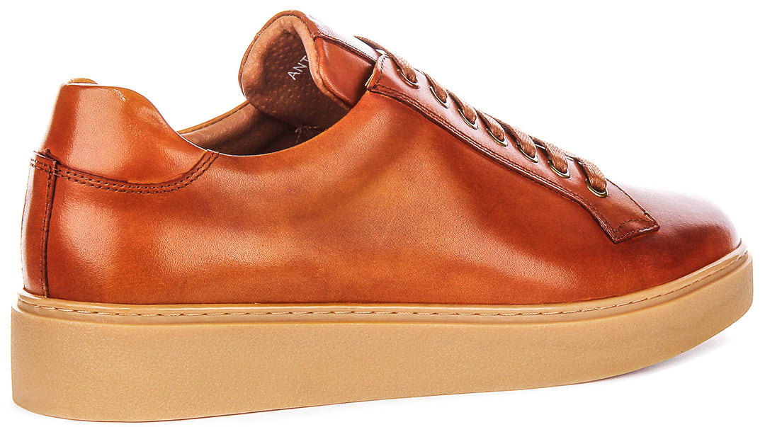 Anthony Sneaker In Brown