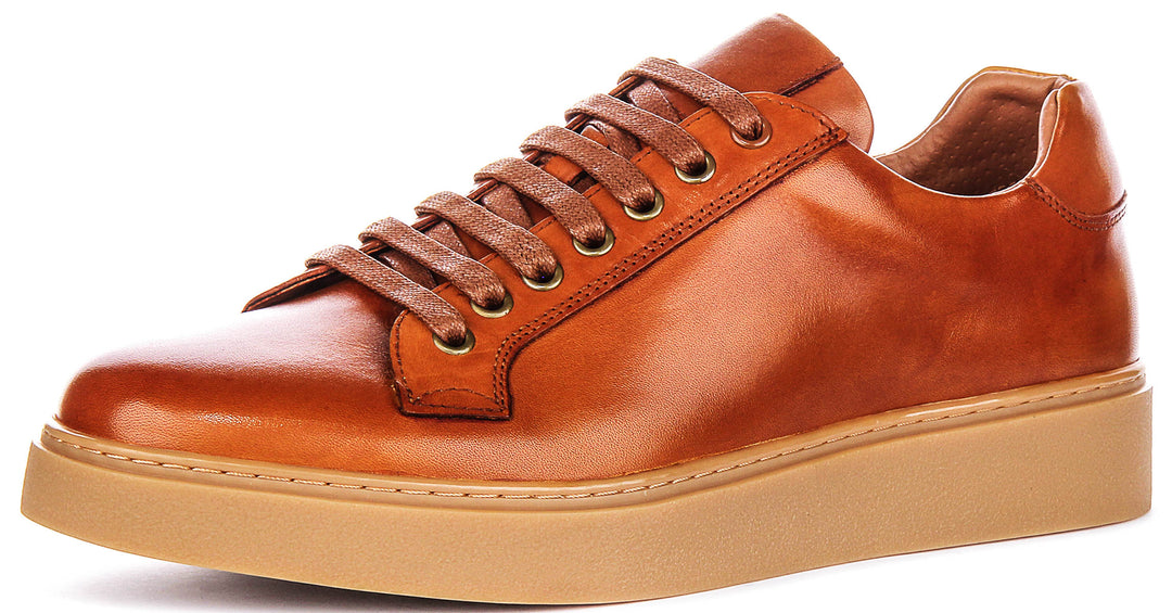 Anthony Sneaker In Brown