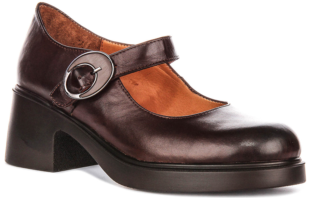 Nancy Mary Jane Shoes In Brown