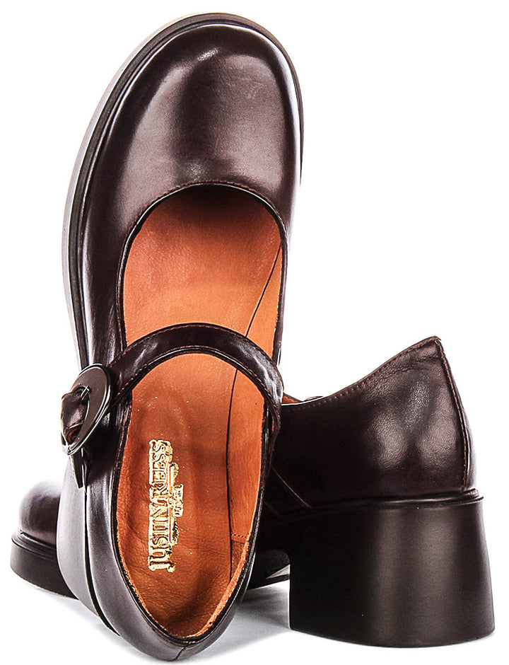 Nancy Mary Jane Shoes In Brown