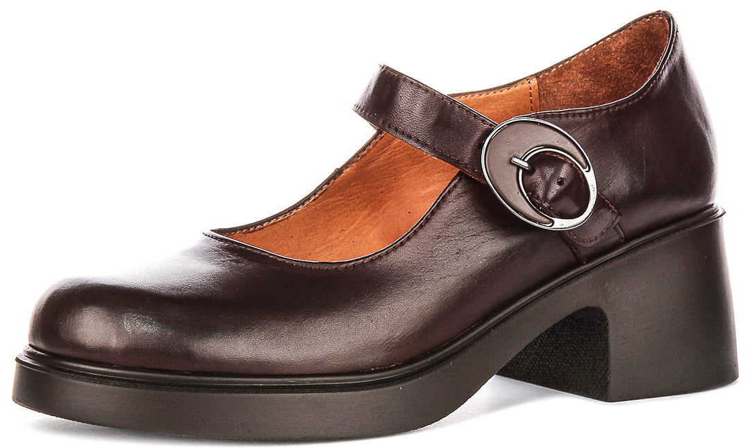Nancy Mary Jane Shoes In Brown
