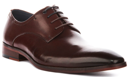 Daniel Oxford Shoes In Brown