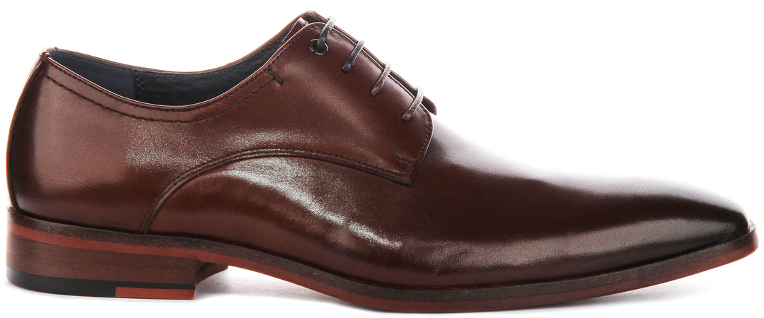 Daniel Oxford Shoes In Brown