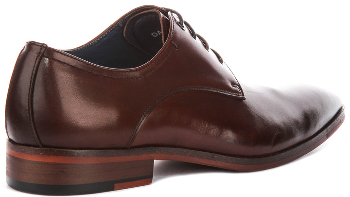 Daniel Oxford Shoes In Brown