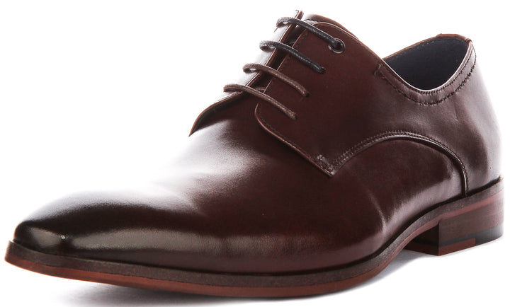 Daniel Oxford Shoes In Brown