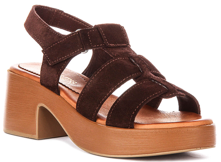 Sylvia Gladiator Sandal In Brown Suede