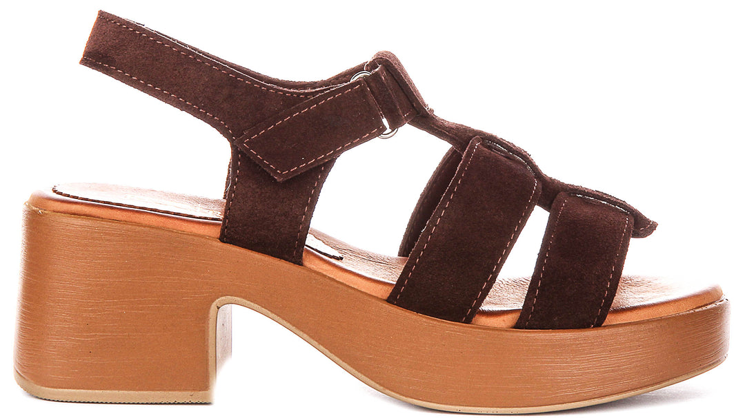 Sylvia Gladiator Sandal In Brown Suede