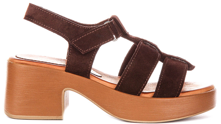 Sylvia Gladiator Sandal In Brown Suede