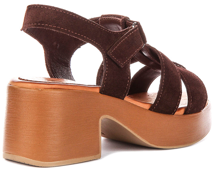 Sylvia Gladiator Sandal In Brown Suede