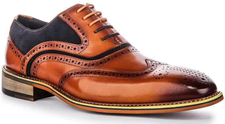 Roman In Brown Blue Brogues