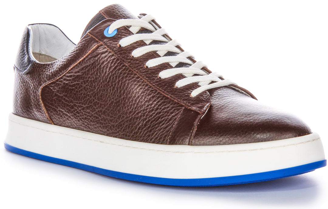 Raymond Trainers In Choco Brown