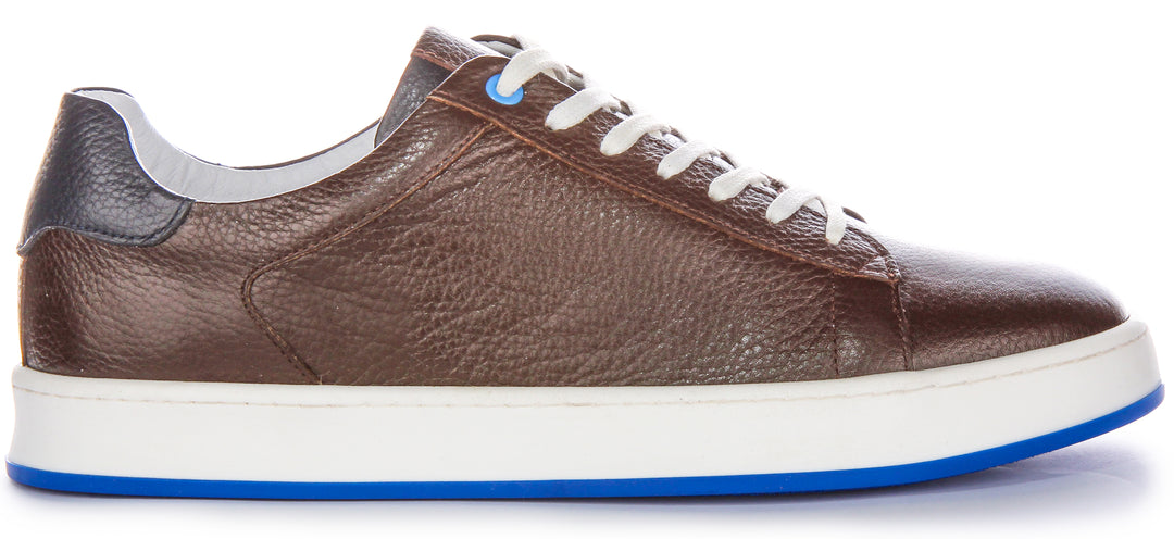 Raymond Trainers In Choco Brown