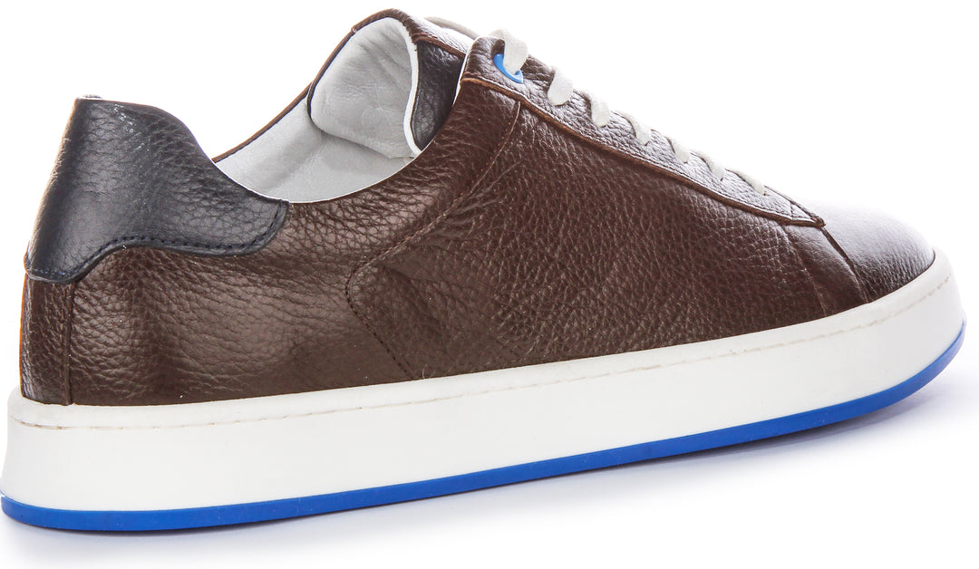 Raymond Trainers In Choco Brown