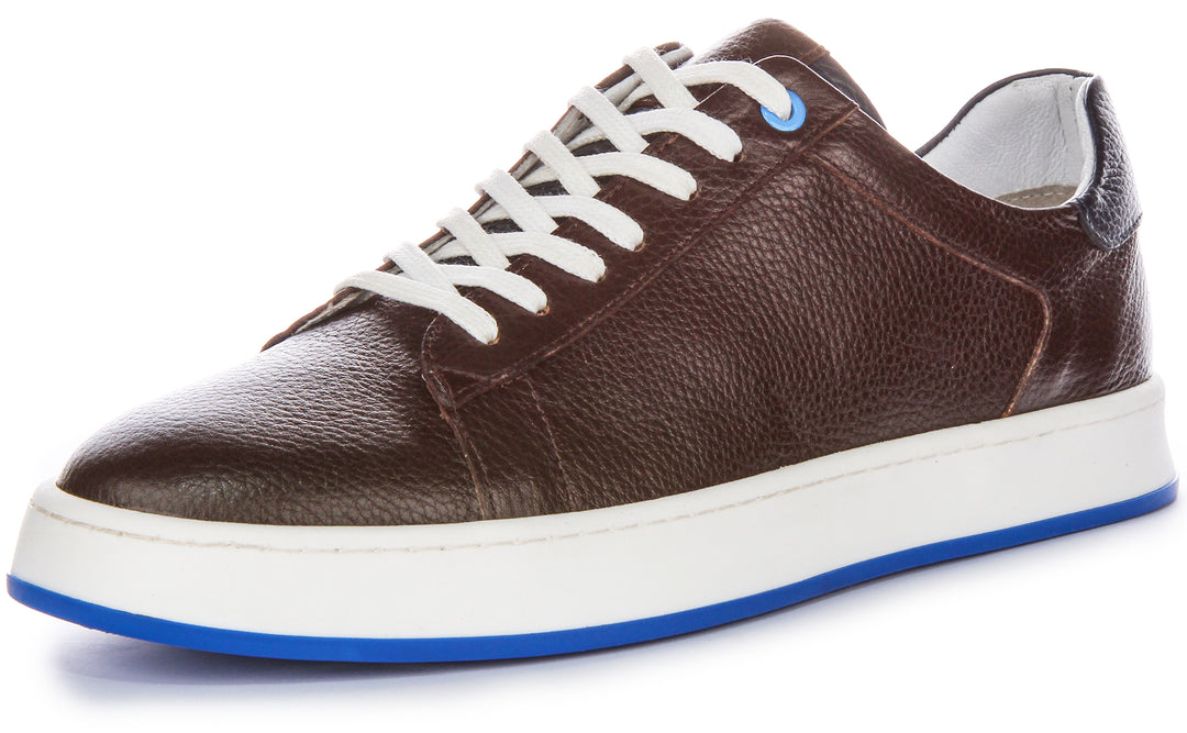 Raymond Trainers In Choco Brown