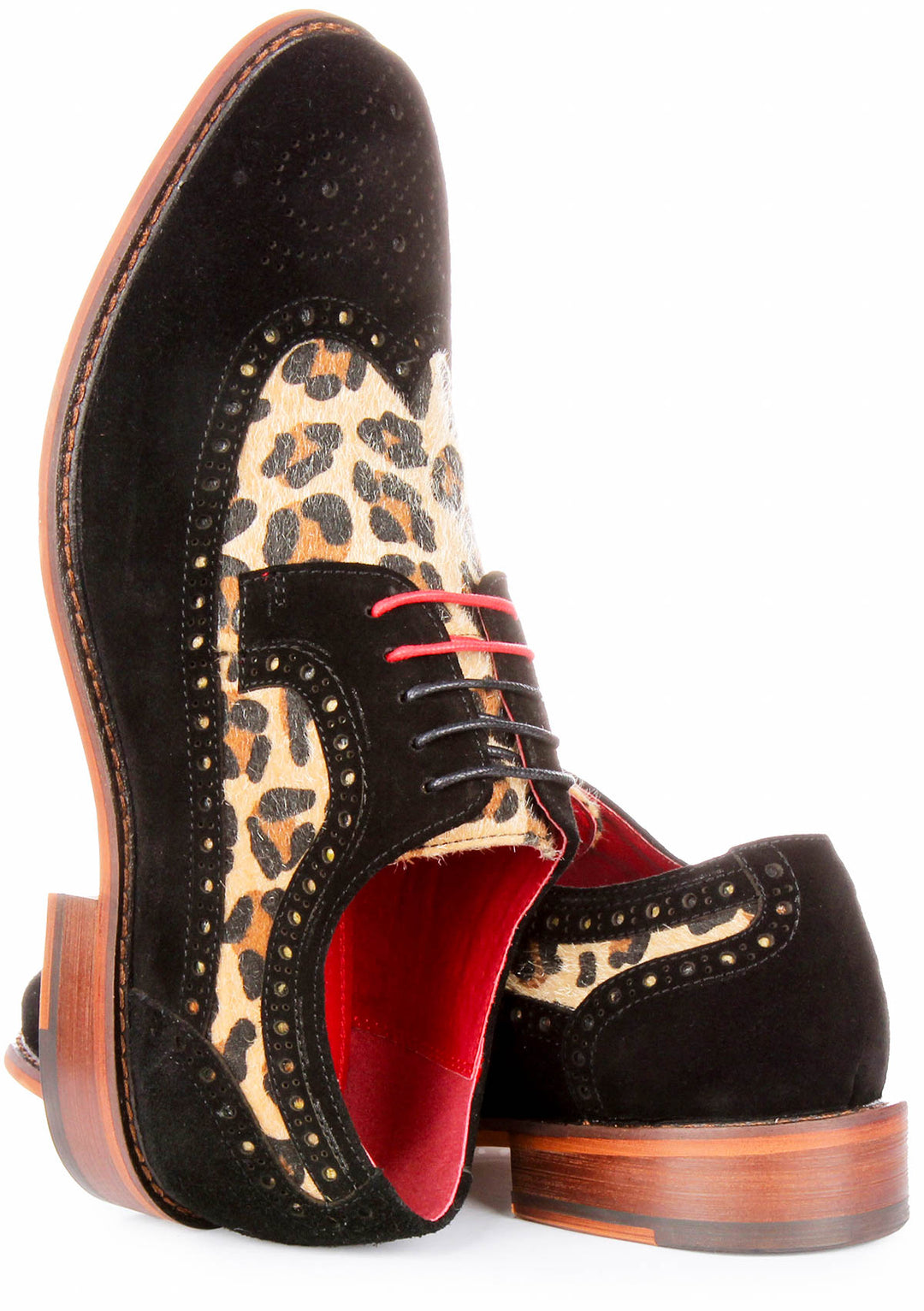 Mateo Brogues Shoes In Leopard