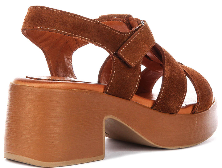 Sylvia Gladiator Sandal In Tan Suede
