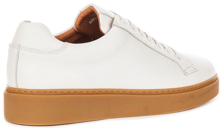 Anthony Sneaker In White