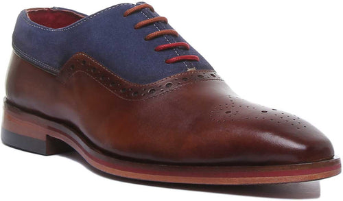 Ceaser Two Tone Leather Brogue In Brown Blue